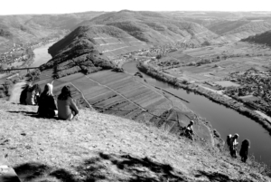 Weinwanderung - Wandern in Senheim an der Mosel