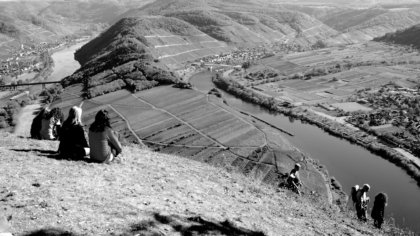 Weinwanderung - Wandern in Senheim an der Mosel