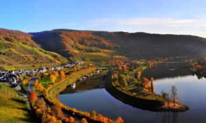 Die Region Senheim - Heimat des Weingut Loescher Erben